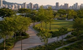 Top 10 Korean Public Parks That Locals Use Every Single Day