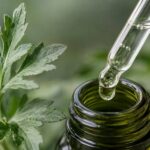 10 Best Mugwort Skincare Products to Calm Redness and Acne