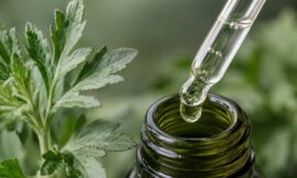 10 Best Mugwort Skincare Products to Calm Redness and Acne