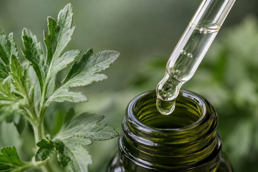10 Best Mugwort Skincare Products to Calm Redness and Acne toptenkr