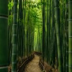 10 Most Beautiful Places in South Korea You’ve Never Seen on Instagram