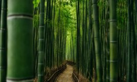 10 Most Beautiful Places in South Korea You’ve Never Seen on Instagram