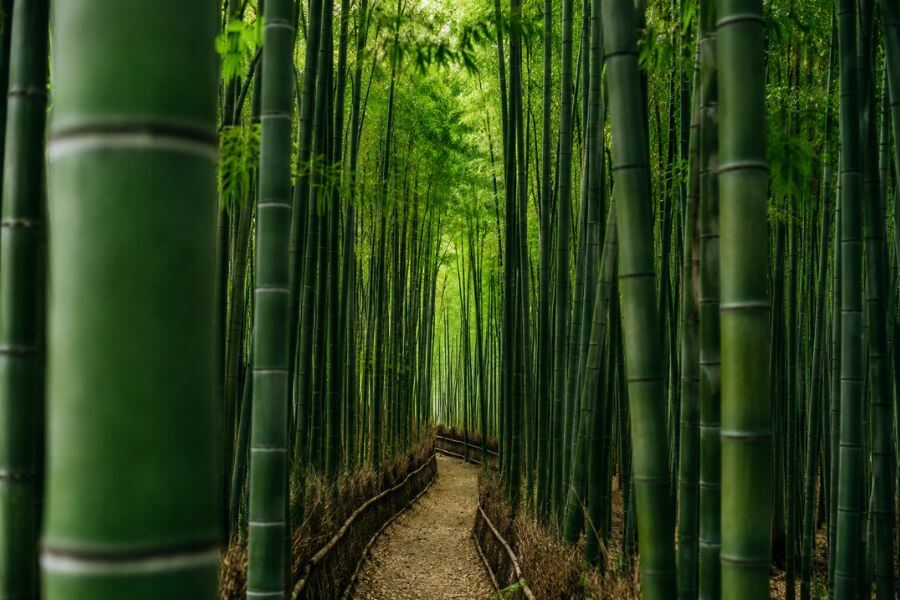 10 Most Beautiful Places in South Korea You've Never Seen on Instagram toptenkr