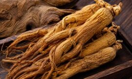 12 Best Korean Ginseng Teas for Immune Support and Morning Vitality