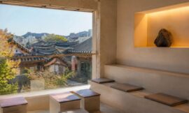 The Best Cafes in Seoul: A Guide to Instagrammable and Aesthetic Cafe Culture