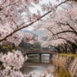 Where to See Cherry Blossoms in South Korea: Best Spots and Forecast Guide