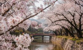 Where to See Cherry Blossoms in South Korea: Best Spots and Forecast Guide