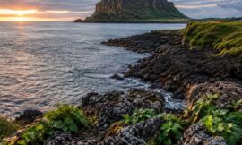 The Complete Guide to Jeju Island: Itinerary, Car Rentals, and Secret Spots
